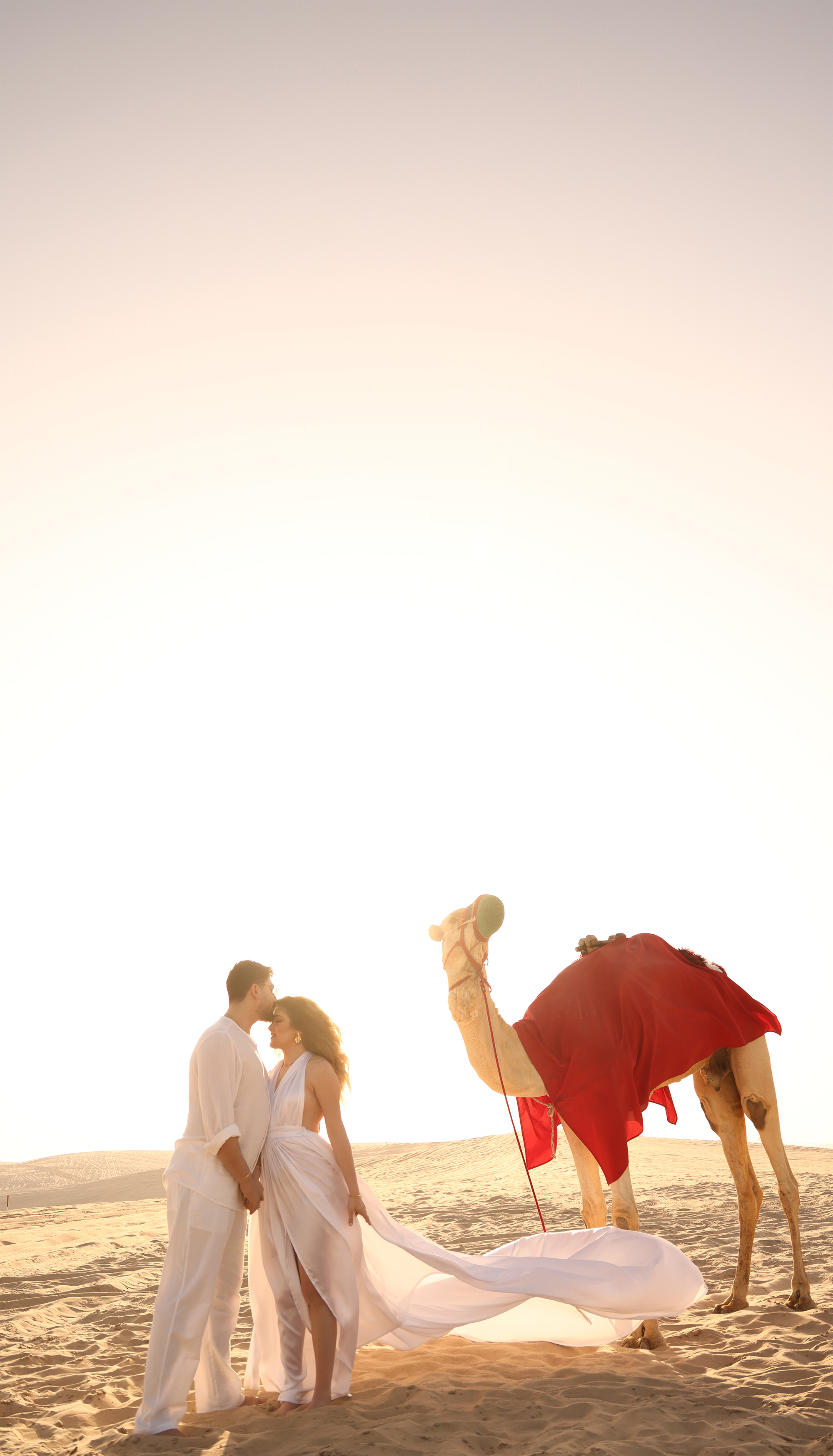 Carousel slide